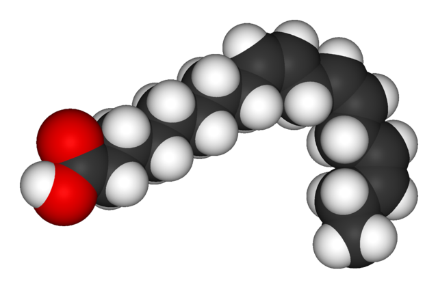 Axit Linoleic: Tác Dụng, Nguồn Gốc và Cách Bổ Sung | Tổng Quan