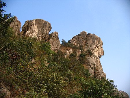 Sư Tử Sơn (Hồng Kông)