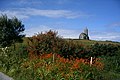 Local flora, Glencolumbcille - geograph.org.uk - 14523.jpg