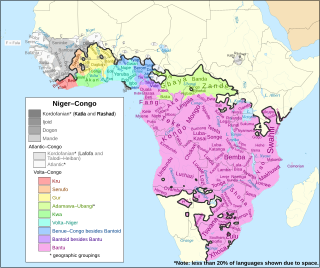 Volta–Congo languages Hypothetical major branch of the Niger–Congo language family