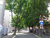 Поглед на дио улице из правца Зуботехничке школе у правцу улице Димитрија Туцовића (низбрдо).