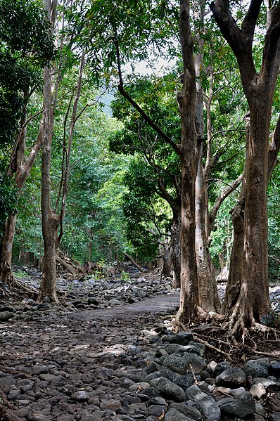 File:Mauritius 23.08.2009 07-48-56.jpg