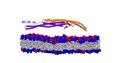 Molecular Dynamics Simulation