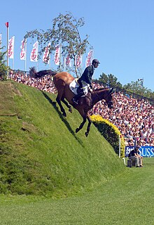 Michael Whyte on Highpark Lad at the British Jumping Derby at Hickstead in June 2011. Michael Whyte on Hickstead Derby Bank.jpg