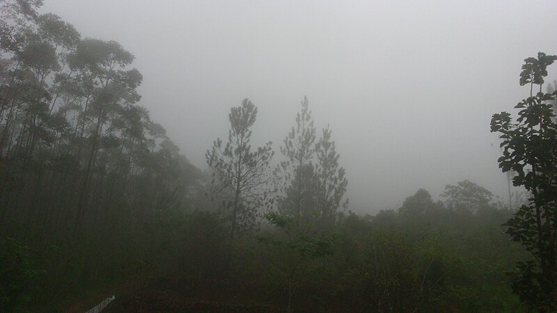 File:Mountains covered with mist.jpg