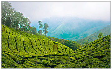 Fichier:Munnar_Top_station.jpg