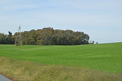 Murry sayti fields.jpg