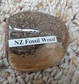 NZ Fossil Wood