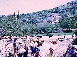 מטיילים ישראליים ליד המעיין של א-נאקורה - 1975