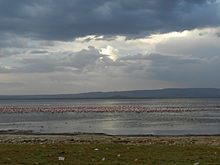 lake nakuru visit