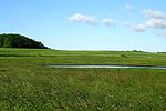 Naturschutzgebiet Goor-Muglitz - Landschaft bei Kollhof (3).jpg