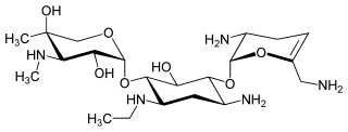 <span class="mw-page-title-main">Netilmicin</span> Chemical compound