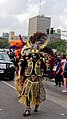 New Orleans Mardi Gras 2017 Zulu Parade on Basin Street by Miguel Discart 04.jpg