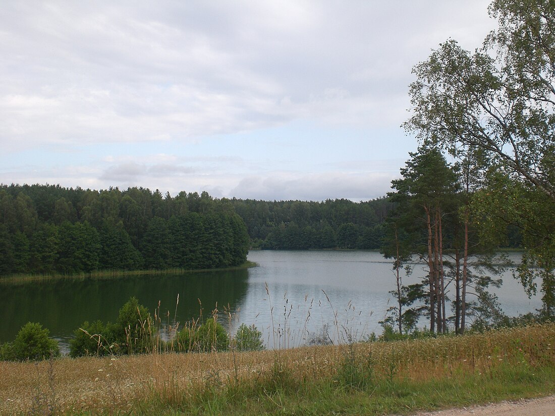 Stężyca (Pommerin voivodikunta)