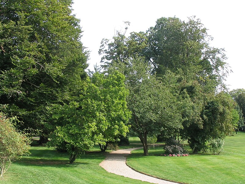 File:Nippenburg Garden01.JPG