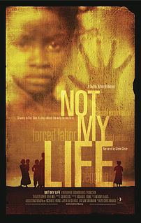 <i>Not My Life</i> 2011 film by Robert Bilheimer