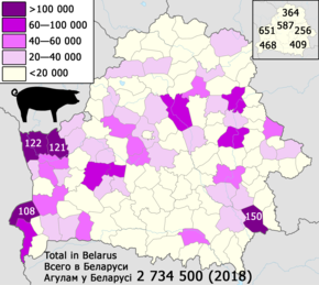 Antal grise i Hviderusland — Svinebestand i Hviderusland (2018).png