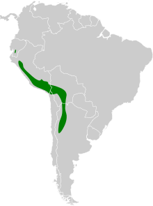 Ochthoeca leucophrys map.svg