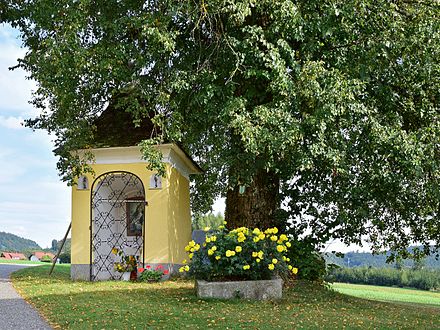 Kapellen-Linde beim Ruckerhof in Oepping (Bezirk Rohrbach)