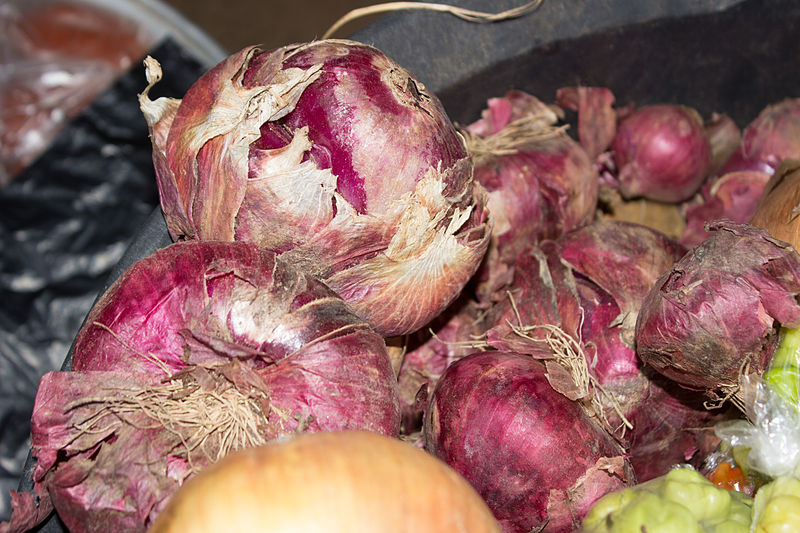 File:Onions 001.jpg