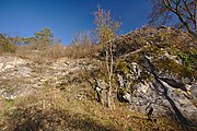 Čeština: Přírodní památka Květnice, okres Brno-venkov