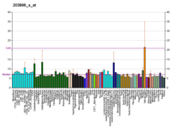 PBB GE PLCB4 203896 s at fs.png