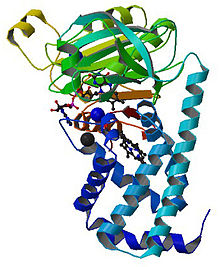 PDB 1gvh.jpg 