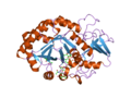 Thumbnail for File:PDB 2qf8 EBI.png