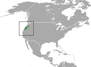 Pacific Shrew area.png -kuvan kuvaus.