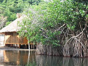 Palafito y manglar Chacahua Mexico.jpg