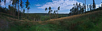 Čeština: Panoramatický pohled na přírodní park Terezské údolí, okres Olomouc