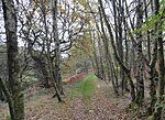 Thumbnail for File:Path through Pontop woods - geograph.org.uk - 5598001.jpg