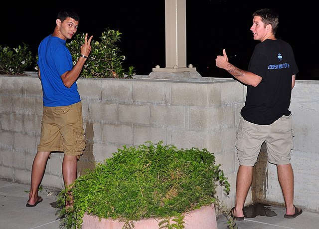 Two men urinating in public, which is often perceived to be indecent exposure