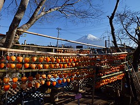 Fuji with persimmon-drying in autumn