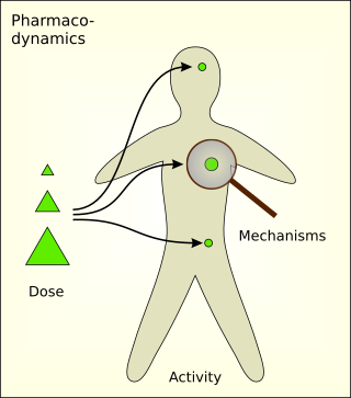 <span class="mw-page-title-main">Pharmacodynamics</span> Branch of pharmacology