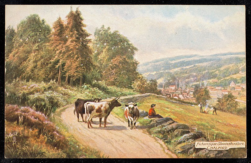 File:Picturesque Gloucestershire, Chalford. (NBY 440364).jpg