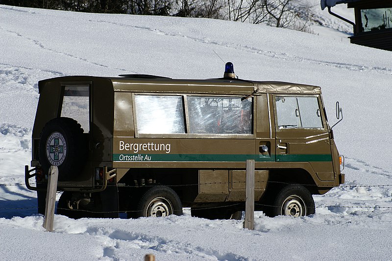 File:Pinzgauer01.JPG