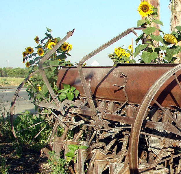 File:Planter and SunFlowers (7288680884).jpg