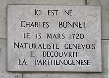 Plaque ici est né Charles Bonnet naturaliste genevois.JPG