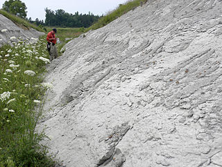 Prairie Bluff Chalk Formation in Alabama and Mississippi, United States