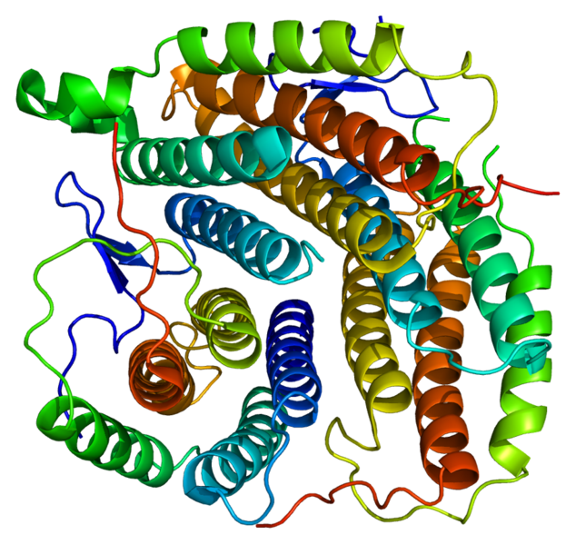 File:Protein MMAB PDB 2idx.png