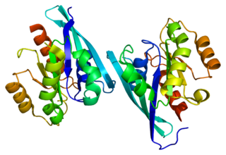 <span class="mw-page-title-main">RAB9A</span> Protein-coding gene in the species Homo sapiens