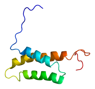 Sacsin protein-coding gene in the species Homo sapiens