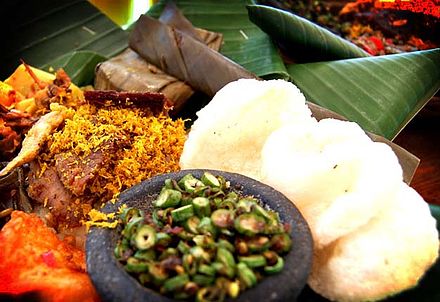 Nasi punel