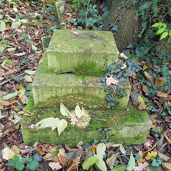 File:Putney Lower Common Cemetery 20191117 130718 (49078982351).jpg