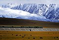 A train on the Qinghai-Tibet Railway