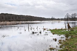 Översvämmade strandängar längs med Rönne å i Skåne