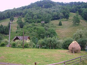 Valea Ierii, județul Cluj