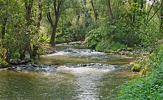 Rabnitz lângă Lutzmannsburg