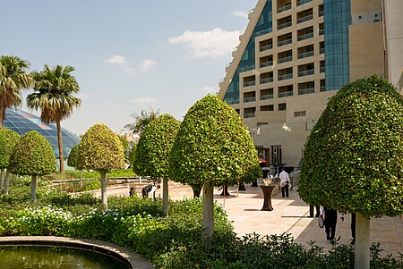 Raffles Dubai 03.jpg